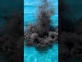 #asmr #waterblast #trendingshorts #subscribe