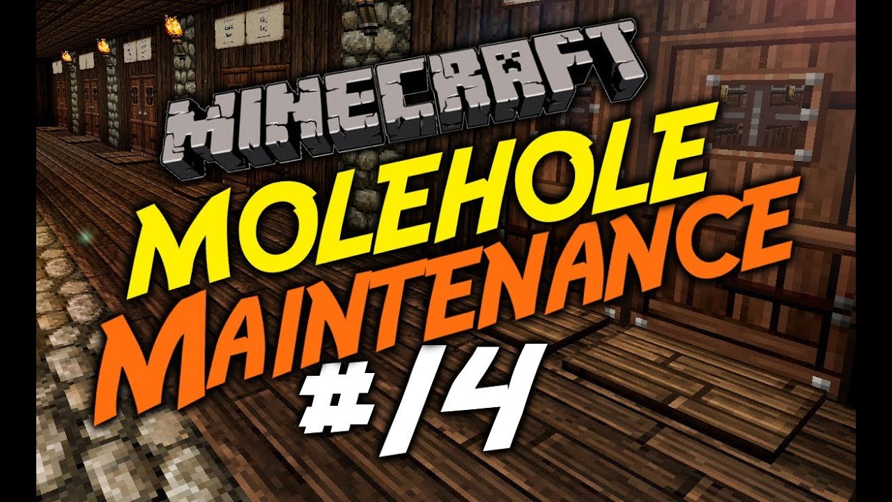 Molehole Maintenance #14 - The Great Rentopia Spring Clean!