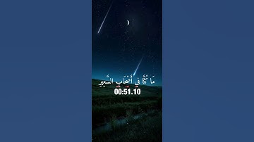 وَقَالُوا لَوْ كُنَّا نَسْمَعُ أَوْ نَعْقِلُ مَا كُنَا فىِ .....القارئ عبد الله احمد شعبان