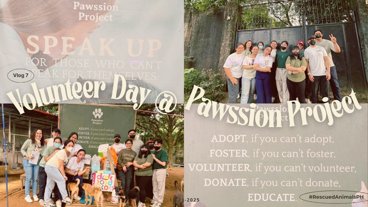 I Went to Volunteer… and Left Changed | Volunteer Day in Pawssion Project, Bulacan  🐾