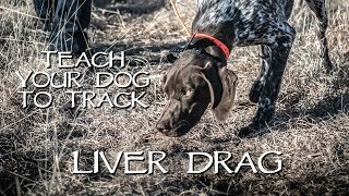 Teach Your Dog To Track Step 1  Liver Drag