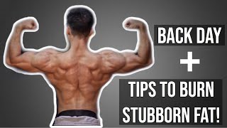 How to Burn Stubborn Fat? | BACK WORKOUT