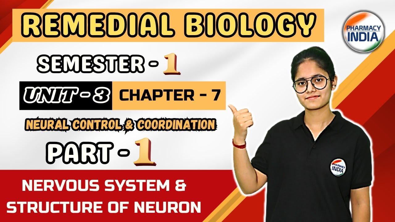 Nervous System & Structure of Neuron | UNIT-3 | CHAPTER-7 | PART-1 ...