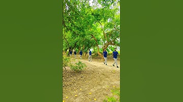 Freeze Frame Clone Video#shortvideo #shortsfeed  #freezeframe Kaise banaye || Capcut se kaise banaye