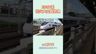 【京浜東北線との被り】E657系花火大会臨時特急　京浜東北線新子安駅通過