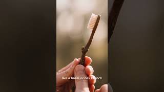 How people brushed their teeth in medieval times?#Shorts #FunFact #EverydayHistory #AncientHygiene