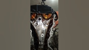 how to open the engine timing plate 🚘🪛🛠️