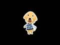 Should I make more of these? #art #digitalart #dog #animalcrossing #animalcrossingnewhorizons