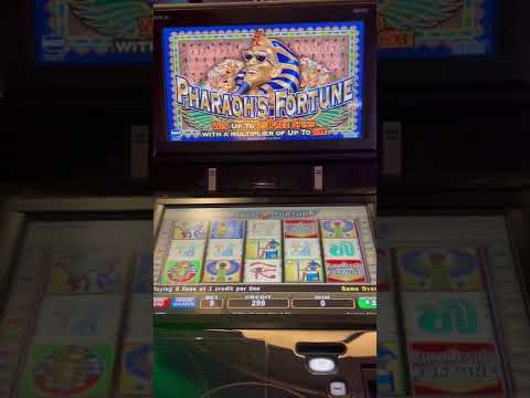 The Ultimate Fun Casino Themed Party