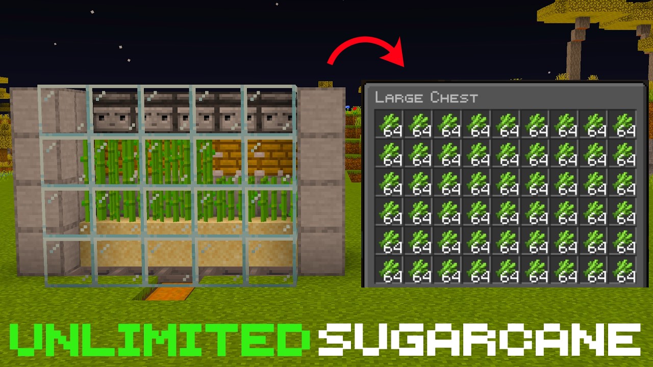 Simple Sugarcane Farm | Java | [1.16+] - YouTube