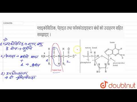 ग्लाइकोसिडिक, पेप्टाइड तथा फॉस्फोडाइएस्टर बंधों को उदाहरण सहित समझाइए ।