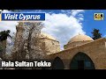 Hala sultan tekke mosques rich history on cyprus  vorgewandert quick virtual travel