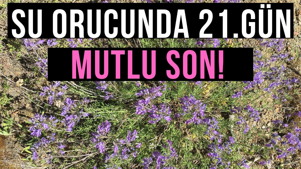 SU ORUCU 21.GÜN MUTLU SON!!!! DEĞERLERİM - YouTube