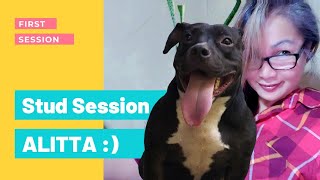 First stud session will make you curious and cautious | Simple Living Philippines
