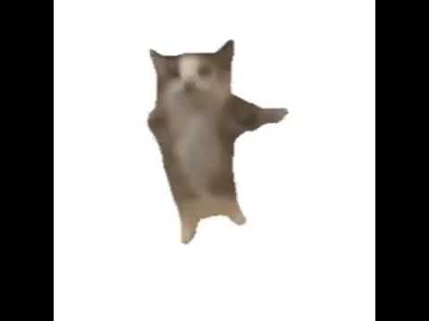 10 Minutes of Cats Sped Up by The Living Tombstone