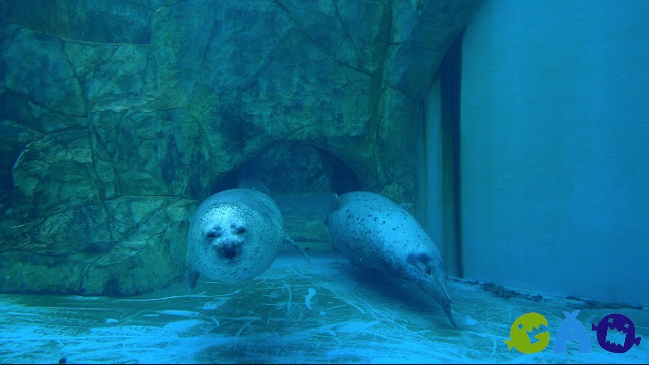 10/20は「新聞広告の日」！秋田魁新報朝刊をお見逃しなく！