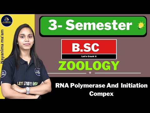 RNA Polymerase And Initiation Compex | B.Sc. Zoology 3rd Semester | Nayanima Ma'am |