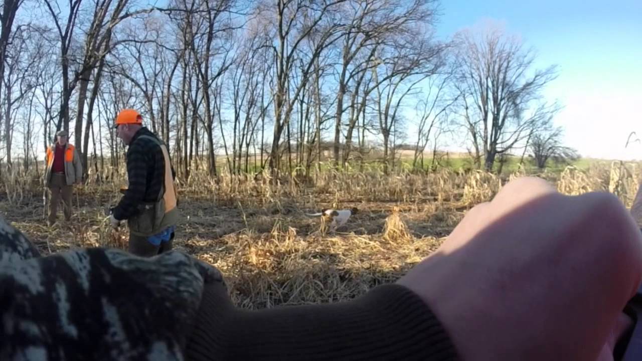 GoPro: Bird Hunting - YouTube