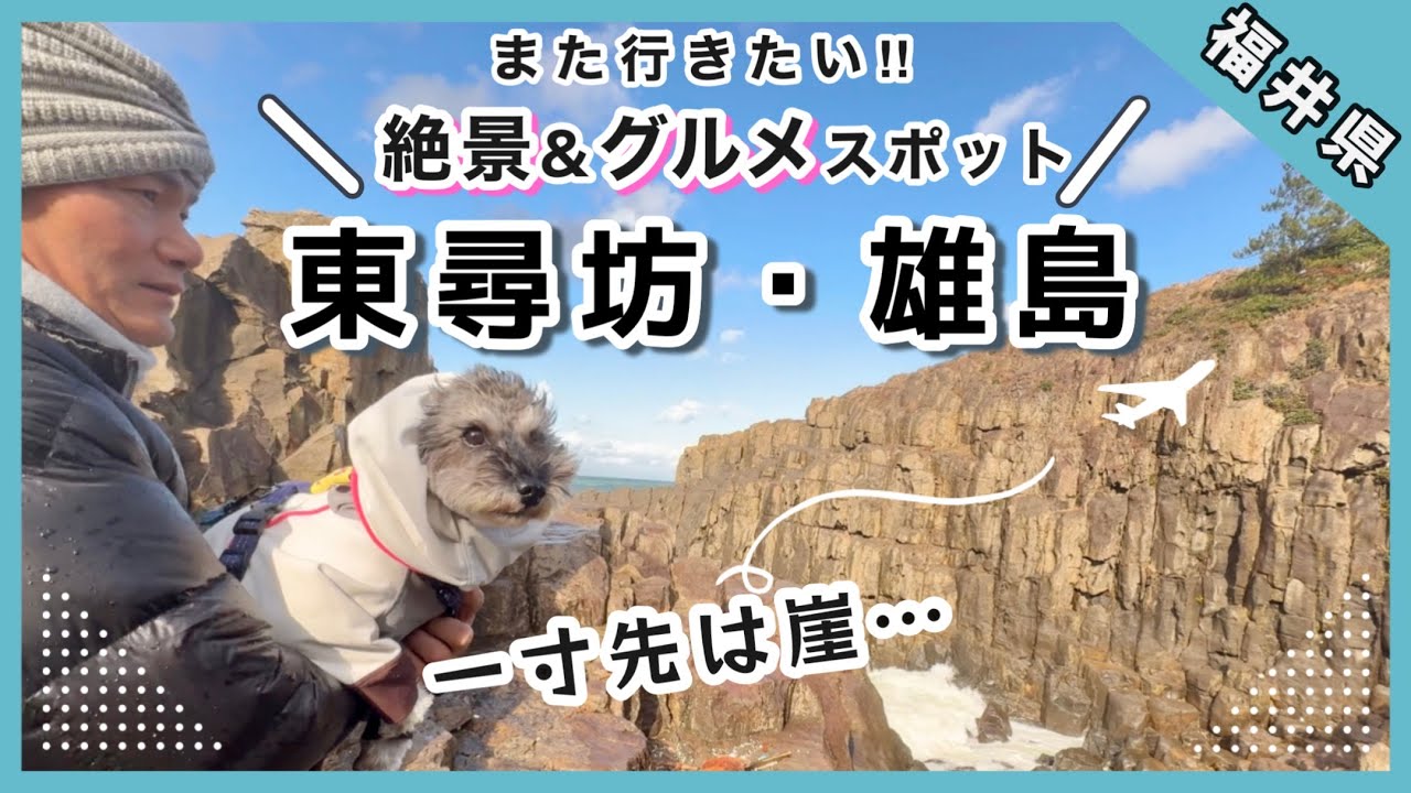 【愛犬と北陸旅行 ① 】 絶品！越前かに ＆ 海の幸を堪能！東尋坊 や 雄島 など 絶景スポット を巡る贅沢な旅
