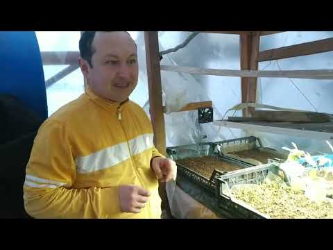 ПЕРЕЕЗД В ТЕПЛИЦУ.