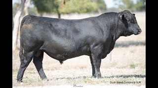 LOT 19 - DUCK ISLAND COMPOSITE VJR