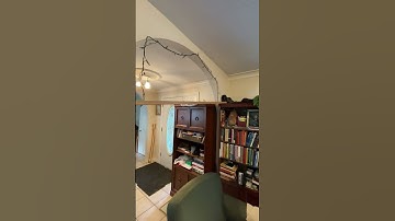 Walkway for my cats