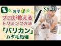 犬のムダ毛（足の裏の毛）処理｜プロが教えるトリミング｜バリカンの正しい使い方｜自宅でできるセルフトリミング｜