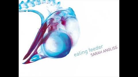 Camberwell Beauty ~ Sarah Angliss ~ from Ealing Feeder