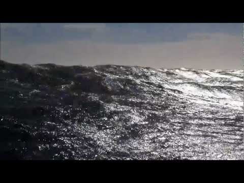 DOWN WIND sortie de la 14 Bonz