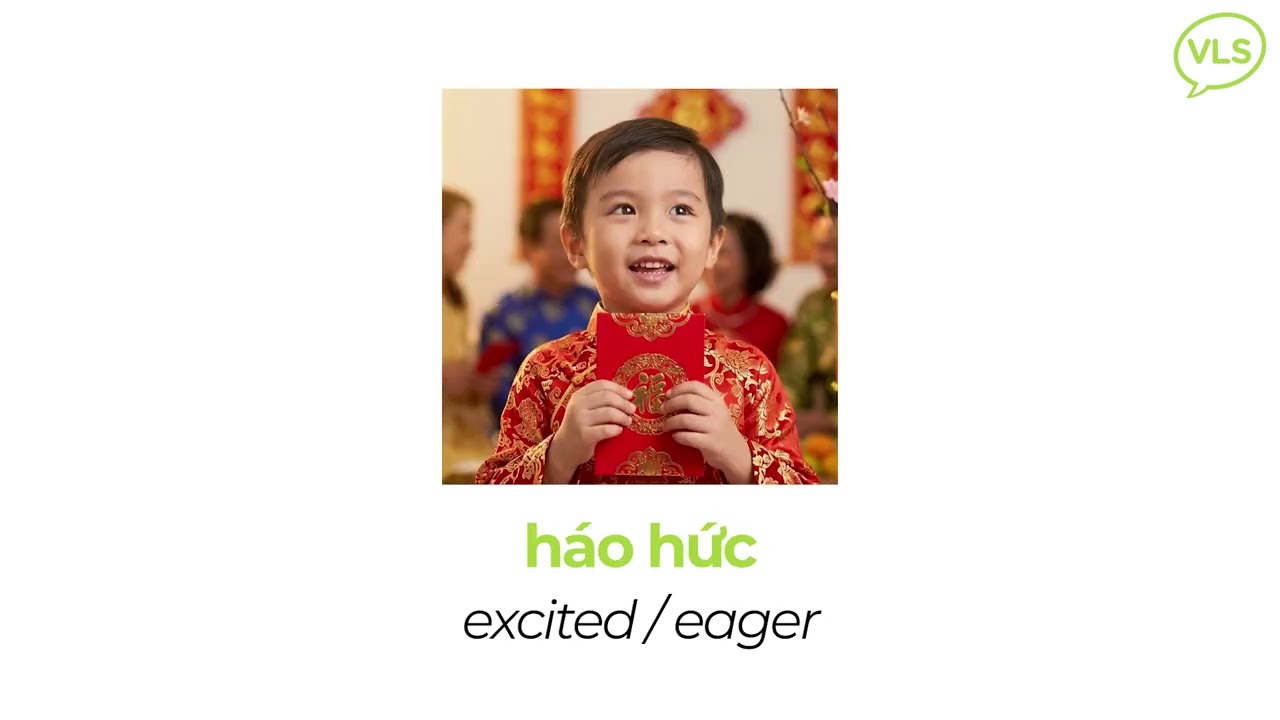 Vietnamese Lessons By Topics: New Year Atmosphere & Emotion