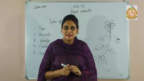 Class 2 / Second Semester