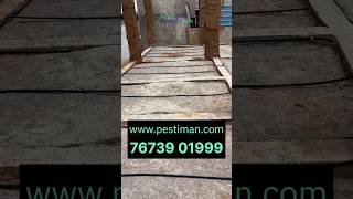 Termite Reticulation Piping System at Beam level