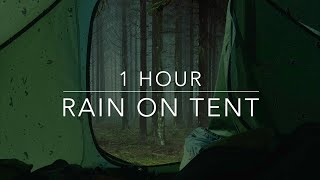 Rain on Tent Sounds for Sleep - 1 hour rain sound - Camping in the rain