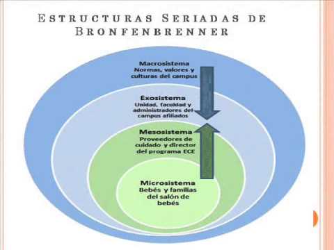 MODELOS CONTEXTUALES - YouTube