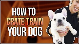 HOW TO CRATE TRAIN YOUR DOG