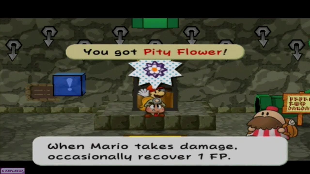 paper mario pit of 100 trials