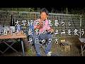 22才大学中退島移住男性が楽しそうに生きている動画