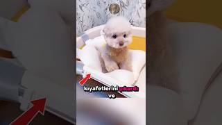 Patili Dostumuzun Spa Keyfi