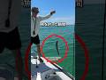 海で起きた不思議な瞬間