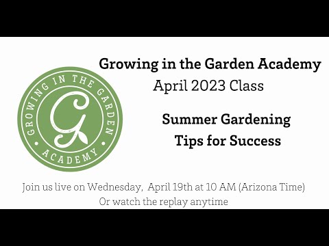 Summer Gardening: Tips for Success