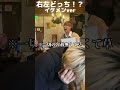 右左どっち?イケメンだけのBLカフェでご褒美か罰・・・【BL】 #Shorts
