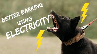 Unleashing the Power of Electronic Collars: How to Teach Your Dog the Bark and Hold