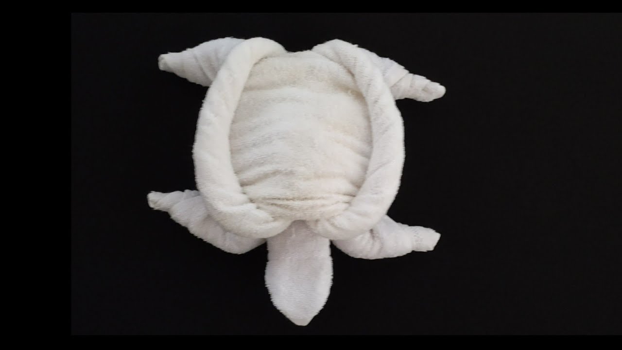 How to make towel turtle - towel art | towel folding - YouTube