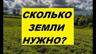 Сколько земли нужно для самообеспечения и пищевая продуктивность территории.