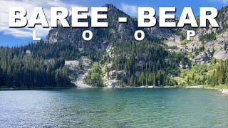 Baree - Bear Loop | Cabinet Mountains Wilderness, Montana