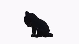 Casual Cat Black - 3D model ready for game use - Grooming