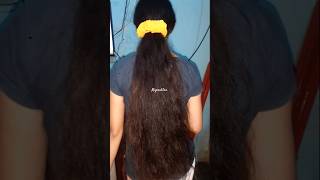 Chatgpt Ghibli Style Trend