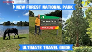 New Forest National Park Ultimate Travel Guide | Hampshire | England | United Kingdom