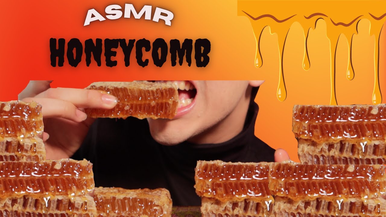 ASMR HONEYCOMB EATING (Extreme Satisfying Eating Sounds) No Talking  | Trying ASMR | Andrew Ospina