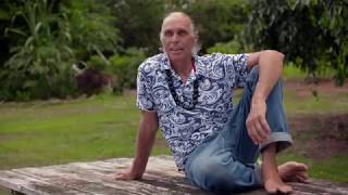 How the Royal Hemp Farm uses hemp to help the land